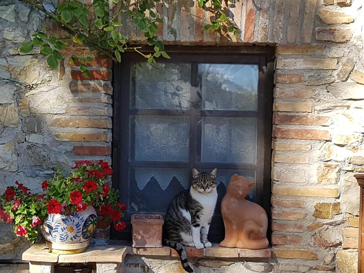 Podere Piandicava Castelnuovo di Val di Cecina Εξωτερικό φωτογραφία