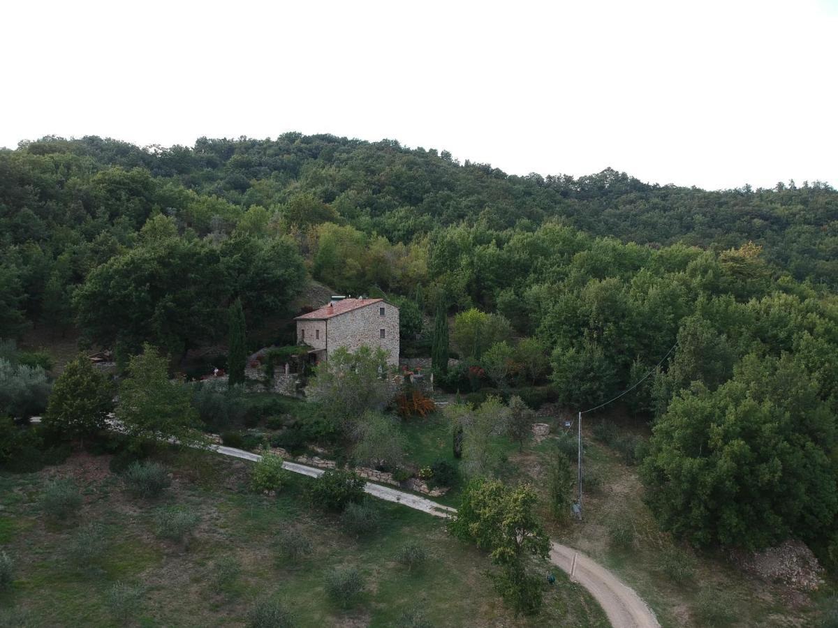 Podere Piandicava Castelnuovo di Val di Cecina Εξωτερικό φωτογραφία