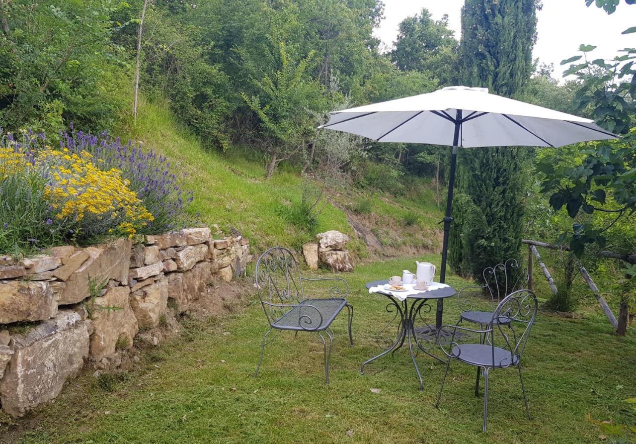 Podere Piandicava Castelnuovo di Val di Cecina Εξωτερικό φωτογραφία