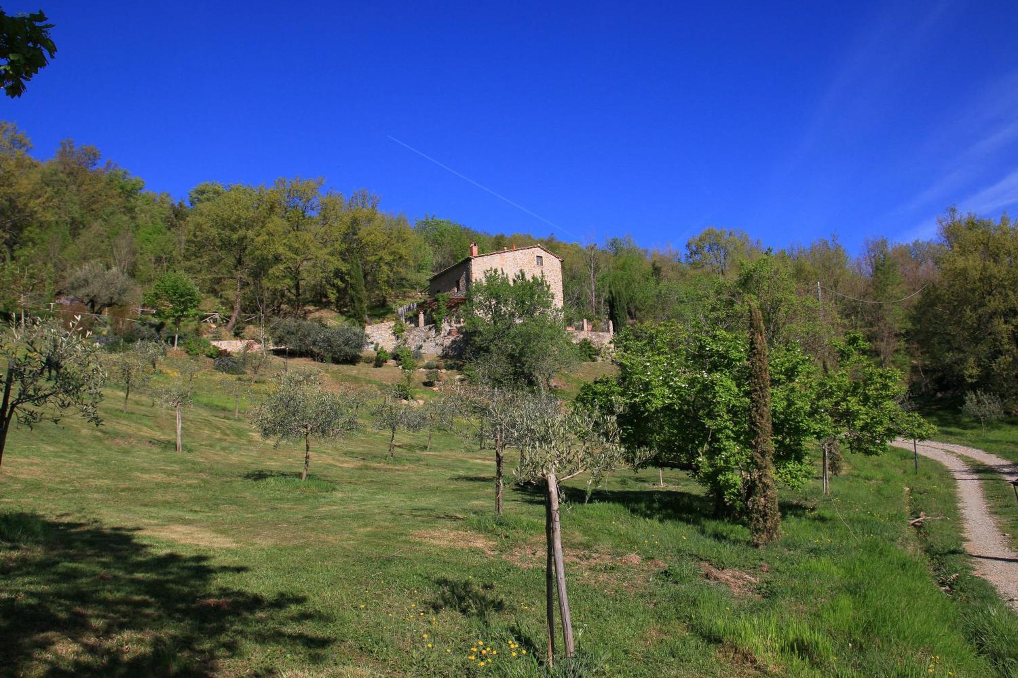 Podere Piandicava Castelnuovo di Val di Cecina Εξωτερικό φωτογραφία