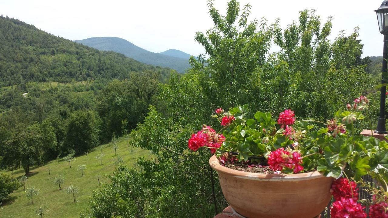 Podere Piandicava Castelnuovo di Val di Cecina Εξωτερικό φωτογραφία