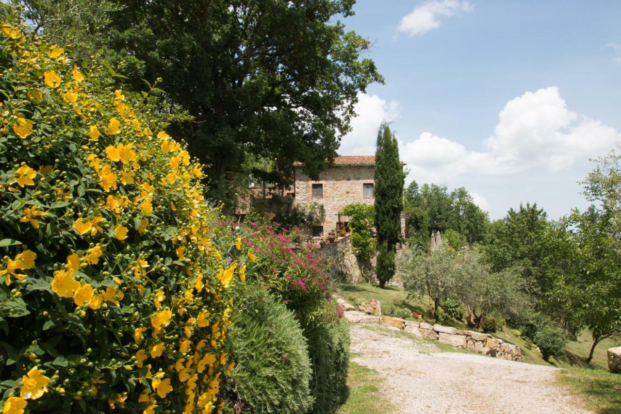 Podere Piandicava Castelnuovo di Val di Cecina Εξωτερικό φωτογραφία